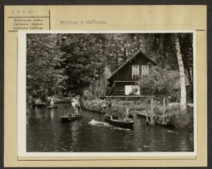 Landschaft bei Kaupen im Spreewald. : Krajina wokoło Kupoje w Błótach