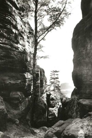 Sächsische Schweiz. Kleiner Bärenstein. Schneiderloch gegen Lilienstein