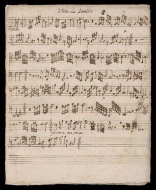 Viola da Braccio