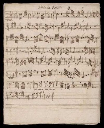 Viola da Braccio