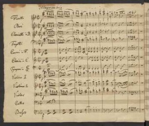 Allegro con brio