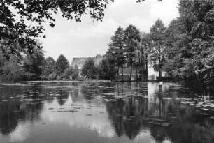 Grünewald-Sella. Blick über den Mühlteich zur Mühle