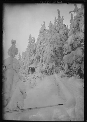 Altenberg. Winteraufnahme - Am Raupennest