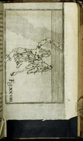 Fig. XXVIII. - Fig. XXIX.