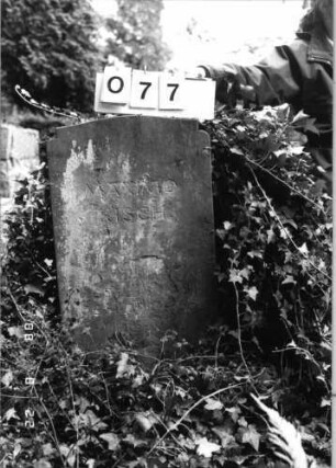 Grabstein 77 (Index: 100080217) Material: Sandstein Zustand: abgeblättert mit Textverlust Maße HxBxT: 82x50x18 cm Beschreibung: Stele, rund eingezogener und erhöhter geschwungener Abschluß: Grabstein 77