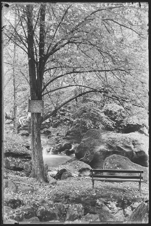 Bad Gottleuba-Berggießhübel. Gottleubatal