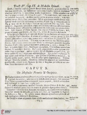 Caput X: De Musculis Frontis et Occipitis