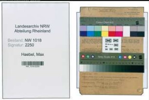 Entnazifizierung Max Haebel , geb. 20.11.1907 (Kaufmaennischer Angestellter)