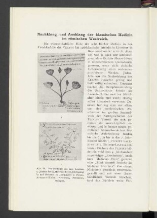 Nachklang und Ausklang der klassischen Medizin im römischen Westreich.