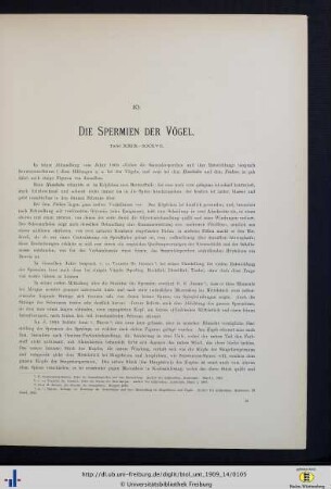 Die Spermien der Vögel.