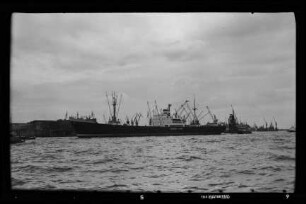 Poseidon (1951), Poseidon Schiffahrt GmbH, Hamburg, Poseidon Schiffahrt F. Ivers & Co. GmbH, Lübeck