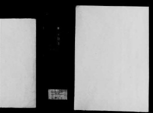 Wöschbach, katholische Gemeinde: Standesbuch 1810-1831