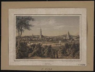 Blick vom Brauhausberg - von Schloss Sanssouci bis zum Alten Rathaus