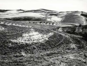 Landschaft im Inneren der Insel Caltagirone