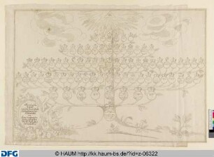 Genealogische Tabelle des Durchleuchtigst.: Hauses Braunschw.: Wolfenbüttel, von Augusto, reagierenden Herzog, biß auf den Durchl.: Fürst. u. Herr Herzog Carl.