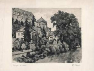 Tübingen. Am Neckar