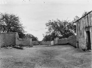Siedlungsstraße : Blick über eine Siedlungsstraße