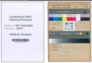 Entnazifizierung Elisabeth Waldhoff , geb. 04.01.1908 (Verw.Angest.)