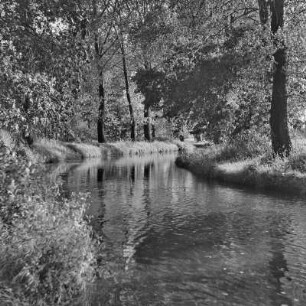 Landschaftsbild. Fließgewässer im Spreewald. : Wobraz krajiny. Groble w Błótach.
