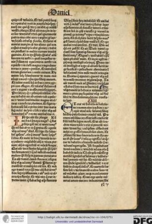 In tempore autem illo consurget Michael princeps magnus...