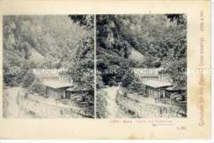 Stereopostkarte: Harz