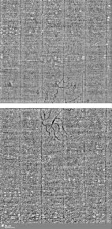 Löwe (steigend) mit Schwert / ES = Bd.1, S.107/108+111/112