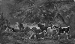 Hüterbub mit Kühen am stillen Waldweiher