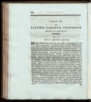 Capvt VI Partibvs Variervm Testvdinum Singvlaribvs