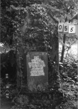 Grabstein 55 (Index: 100080166) Material: Kalkstein? Zustand: verwittert und überwuchert Maße HxBxT: 125x54x23 cm Beschreibung: Stele, Sockel, giebelartiger Abschluß, rechteckig erhabene Schriftplatte Symbolik: Schale mit Rosen über der Schriftplatte: Grabstein 55