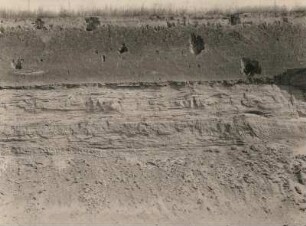 Leipzig-Probstheida. Etzolds Sandgrube (südl. Abbauwand). Kreuzgeschichtete Kiese und Sande des Pliozän unter saalezeitlichem Geschiebelehm (Löcher von großen Geschieben) und Löß