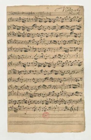 Violoncello piccolo