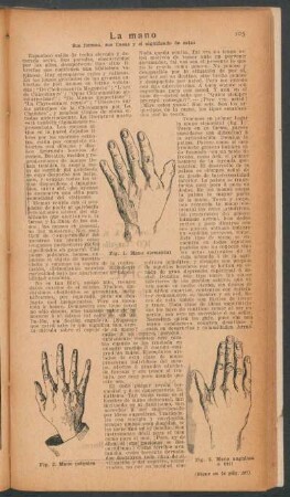 La mano - sus formas, sus líneas y el significado de estas