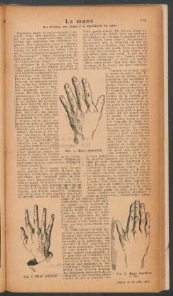 La mano - sus formas, sus líneas y el significado de estas