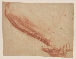 Unterarm und Hand, Studie