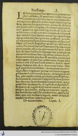 Tractatus I. De integris.