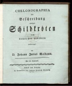Chelonographia oder Beschreibung einiger Schildkröten