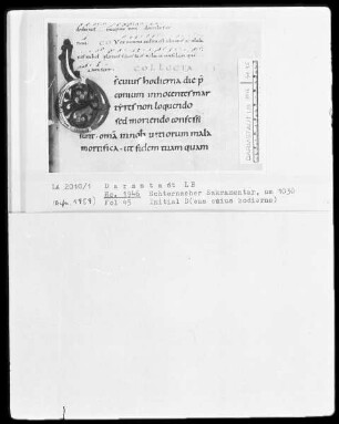 Sakramentar mit eingearbeitetem Graduale — Initiale D (eus cuius odierna), Folio 45recto
