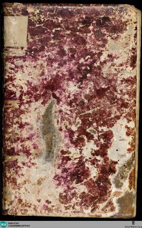 Wasserburger Codex - Cod. Donaueschingen 74