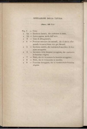 Spiegazione Della Tavola (Tav. 22 bis)