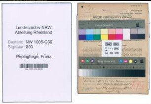 Entnazifizierung Franz Pepinghege , geb. 20.05.1903 (Transportunternehmer)