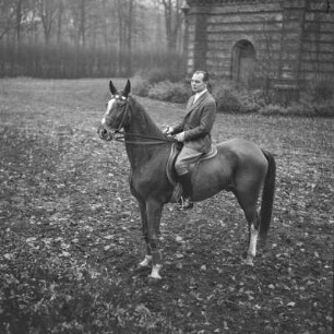 Mann auf einem Pferd