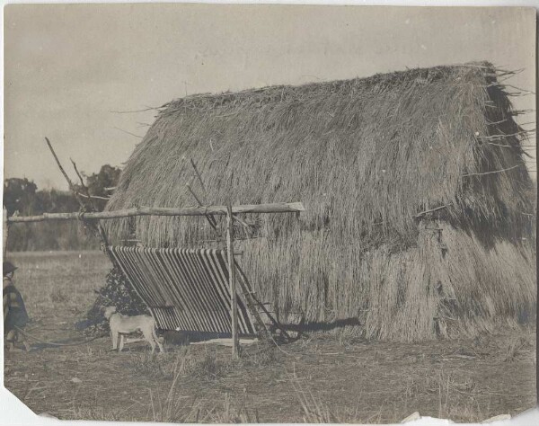 Cabane (Ruca) avec métier à tisser au Chili