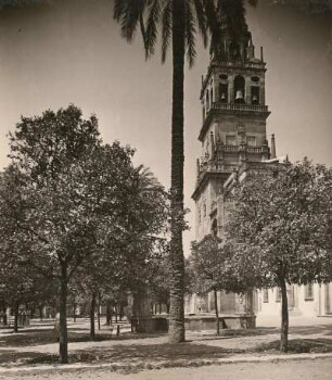 Spanien. Cordoba. Kathedrale "la Mezquita". Orangenhof. Der ehem. Hof der Reinigungen, wo sich die Gläubigen zum Eintritt in das Heiligtum vorbereiteten. An der Südseite erhebt sich die Moschee