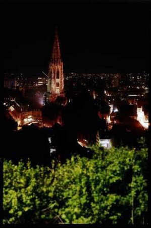 Freiburg: Münsterbeleuchtung bei Nacht, Vordergrund grüne Hecke