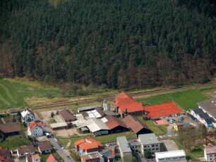 Schwallungen