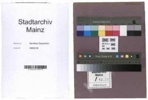 Arbeit und Umgestaltung der Verwaltungsstelle Mainz bzw. Hessen der Reichsvereinigung der Juden in Deutschland