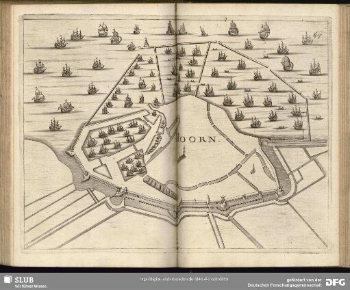 Hoorn