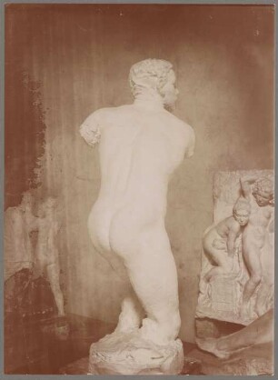 Männlicher Torso