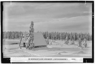 Osterzgebirge. Im Georgenfelder Hochmoor