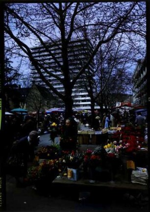 Lörrach: Marktszene, Vordergrund Blumenstand, Hintergrund Hochhaus